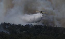 Çanakkale'de çıkan orman yangınına müdahale ediliyor