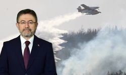 Çanakkale'nin Gelibolu bölgesindeki orman yangını tamamen kontrol altına alındı