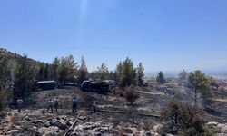 Dikmen’deki yangında kuru otlar, bitki örtüsü ve çam ağaçları yandı
