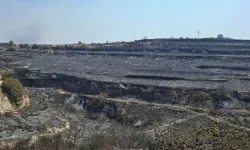 Limasol’daki büyük yangının sönmemiş sigara izmaritinden çıktığı açıklandı