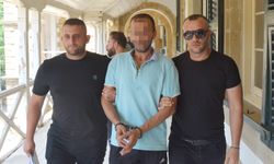 Taşkınköy’de Araçtan Hırsızlık Yapan Zanlı Teminatla Serbest Kaldı