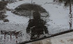 Gelecek haftanın ilk günlerinde yağmur bekleniyor