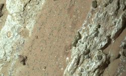 NASA: Mars'ta bulunan leopar benekli kaya, gezegendeki en net yaşam belirtisi olabilir