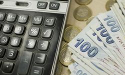 Türkiye’de vergi borcunu ödemeyenlerin listesi açıklanacak