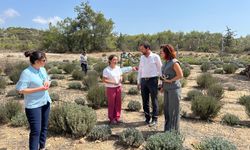 KEİ katkılarıyla Karpaz bölgesinde yürütülen bazı projelerde incelemeler yapıldı