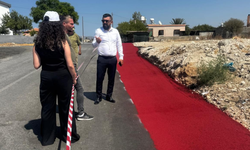 Serdarlı'da Yürüyüş Yolu Tamamlanıyor