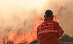 Limasol’daki yangın kontrol altına alındı