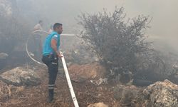 Boğazköy’de çıkan yangın, ekiplerin müdahalesiyle kontrol altına alındı
