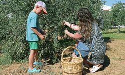 Ecolive Hasat Festivali, bu pazar Akdeniz köyünde yapılacak