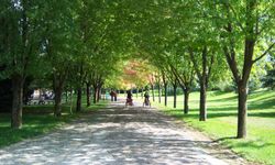 “Hirokitia” köyündeki Kıbrıs Türk arazisine botanik parkı yapılacak