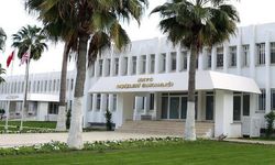 "Norveç’in Güney Kıbrıs Rum Yönetimi'ne silah yasağını kaldırması geleneksel barış odaklı dış politikası ile çelişiyor"