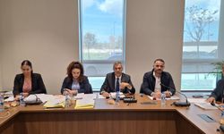 Sayıştay Komitesi iki raporu onayladı