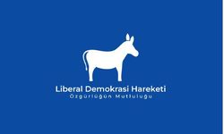 Liberal Demokrasi Hareketi’nden 10 maddelik öneri paketine destek