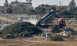 İskele’de moloz döken iki firmaya ceza