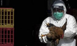 ABD’de H5N5 kuş gribi nedeniyle ilk insan ölümü