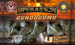 Uyuşturucu ve hırsızlık olaylarına yönelik polis operasyonlarında 6 kişi tutuklandı