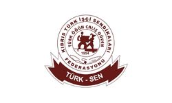 Türk-Sen-ITUC özelleştirme konulu seminer düzenliyor