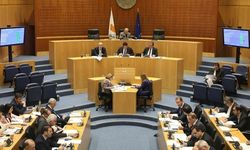 Kıbrıs Türk mallarıyla ilgili şikayetler