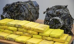 Belçika'da yılbaşından bu yana 20 tona yakın esrar ele geçirildi