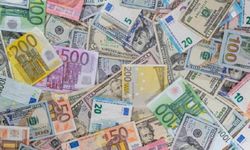 Vatandaşlık vaadiyle 4 bin 875 Euro temin etti