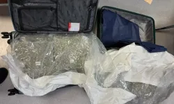 Güney Kıbrıs'ta bu yıl ele geçirilen uyuşturucu miktarı arttı