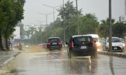 Peyzaj Mimarları Odası: “Yaşadığımız şey doğanın değil insanın afetidir”