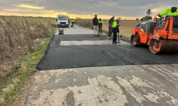 Mesarya Belediyesi’nden şap hastalığına karşı tedbir