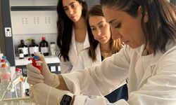 Zeytinyağı tağşiş analizleri Güzelyurt Tarımsal Araştırma İstasyonunda yapılmaya başlandı