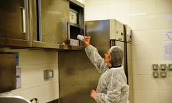 Değirmenlik bölgesinde 74 iş yeri denetlendi, 4 işletmenin faaliyetleri durduruldu