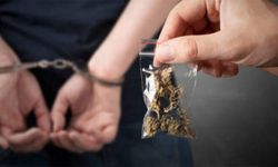 Gönyeli’de uyuşturucu… Dedektör köpekle yapılan aramada hintkeneviri, kokain ve hap ele geçirildi