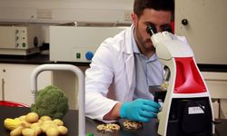 Haftalık gıda denetimleri... 2 yerli üründe tavsiye dışı bitki koruma ürünü tespit edildi