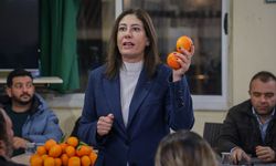 İncirli, Yeşilyurt ve Doğancı’yı ziyaret ederek üreticilerle bir araya geldi