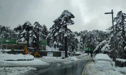 Trodos Dağları’nda yoğun kar yağışı...