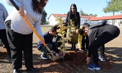 İskele Belediyesi Ötüken Özel Eğitim Okulu’nda meyve bahçesi oluşturdu