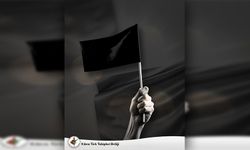 Tabipler Birliği, toplumu Sağlık Hizmetleri Dairesi Yasa Tasarısı’na karşı ses yükseltmeye çağırdı