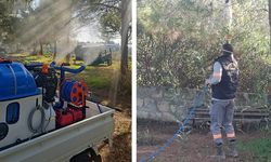 Mehmetçik Büyükkonuk Belediyesi: “Çam kese böceğine karşı mücadelemiz aralıksız sürüyor”