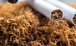 KKTC'den Güney Kıbrıs'a tütün geçirmek istedi