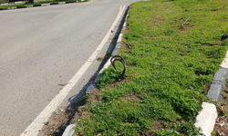 Lefke Çevre ve Ekoloji Derneği: “Kazada düşen direk aylardır yerine konmuyor”