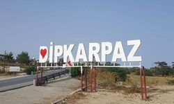 Karpaz Koruma Derneği'nden doktorların çalışma saatleriyle ilgili düzenlemeye destek