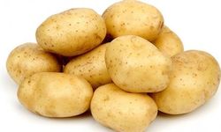 İlkbahar patates beyan alımlarının süresi Pazartesi gününe kadar uzatıldı