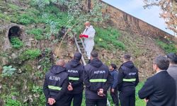 LTB, surlarda temizlik ve ilaçlama çalışmalarına devam ediyor