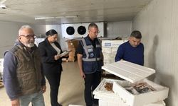 Çatalköy ve Esentepe bölgesinde su ürünlerinin perakende satışını yapan işletmeler ve restoranlarda denetim yapıldı