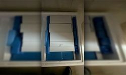 Güney Kıbrıs’a 50 bin doz şap aşısı daha… Toplamda 60 bin doz teslim edildi