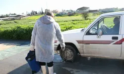 Güney Kıbrıs'ta şap hastalığı için koordinasyon merkezi oluşturuldu