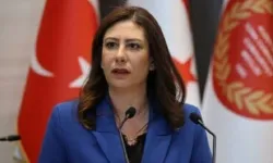 İncirli, Meclis'te hükümete çağrıda bulundu: "Protokolü geri çekin, yeniden değerlendirilsin"