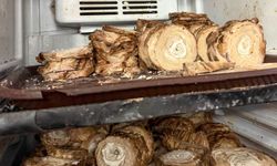 Gazimağusa'da kasap denetimi: Bir işletmede muhafaza koşullarına uygun olmayan 26 kilo kıyma ve et ürünü bulundu