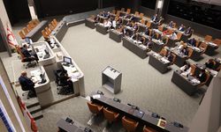 Kozmetik Ürünleri (Değişiklik) Yasa Tasarısı Meclis'ten geçti..Genel Kurul bugünkü çalışmalarını tamamladı