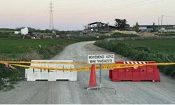 Güney Kıbrıs'ta 3 çiftlikte daha şap saptandı