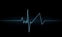 Robert Fredrıc Myers’in ölüm sebebi “kalp damar hastalığı ve böbrek yetmezliği”…