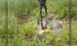 Lefke Çevre ve Ekoloji Derneği: "Çevrenin korunması, yalnızca kurumların değil tüm bireylerin ortak sorumluluğu"